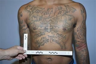 So Proud of His Cheque Fraud He Tattooed it on His Elbow :: ASAP Cheques - Save up to 50%